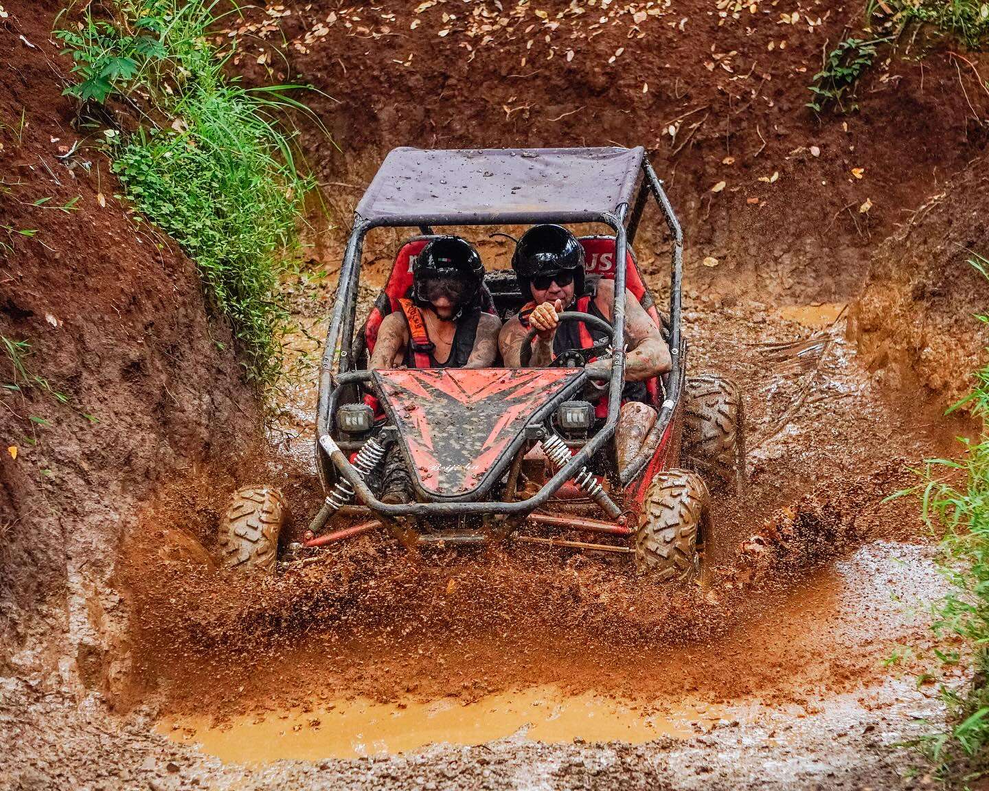 Buggy Ubud Ride Adventure