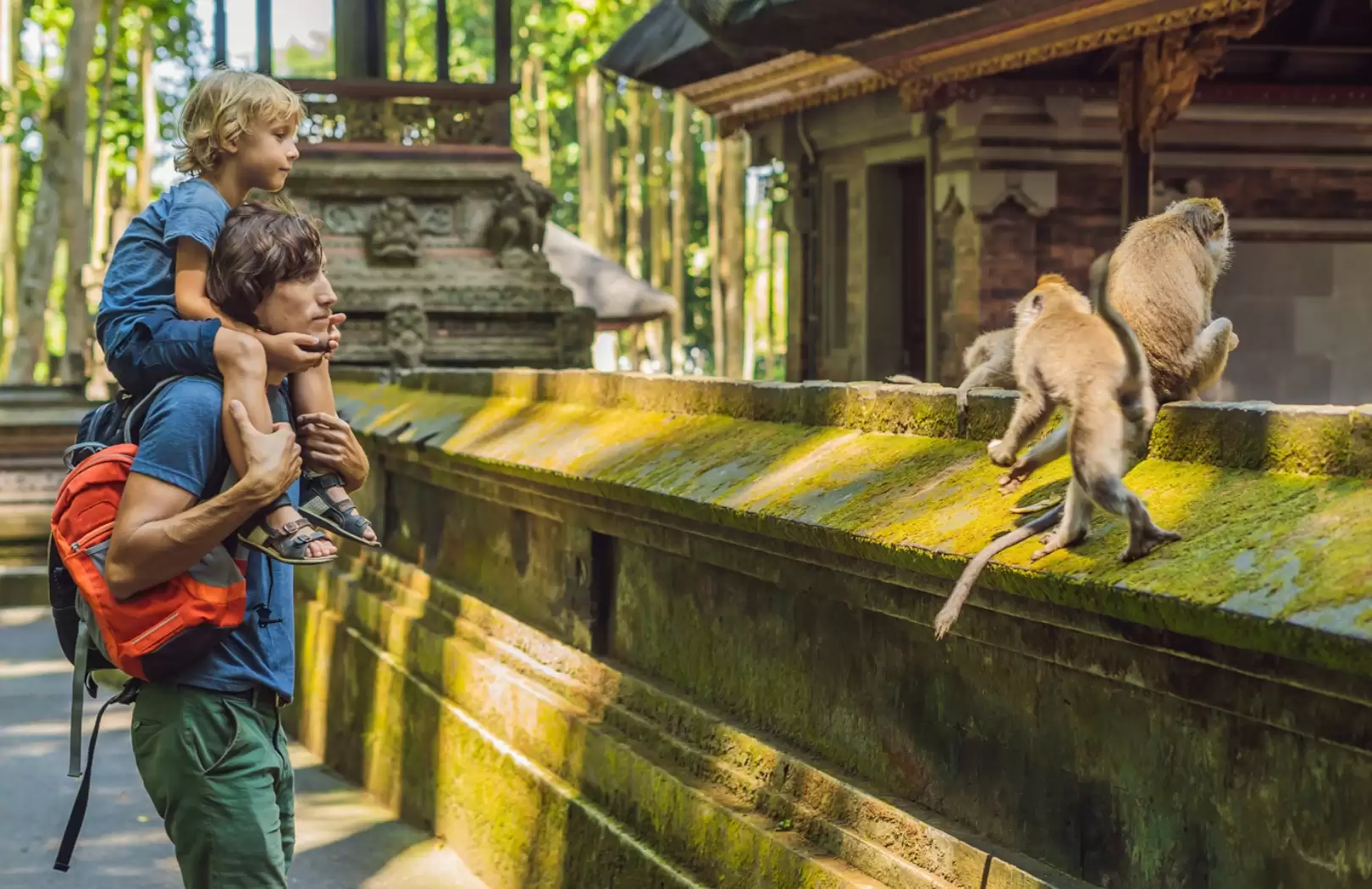 Ubud Half Day Tour