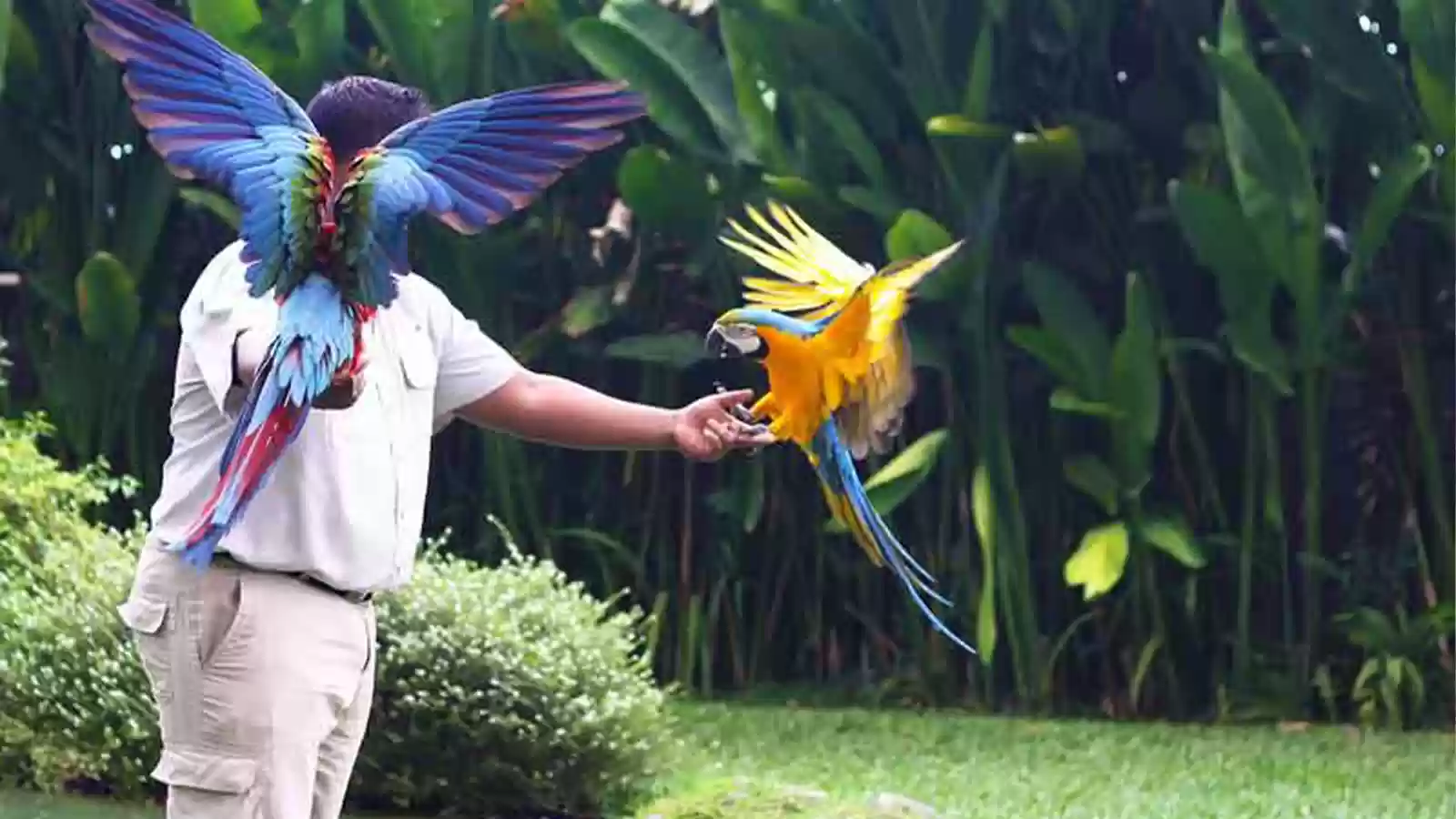 Paket Tour Harian Ubud