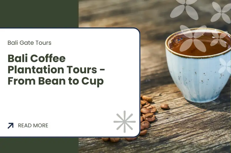 Bali Coffee Plantation Tours - From Bean to Cup
