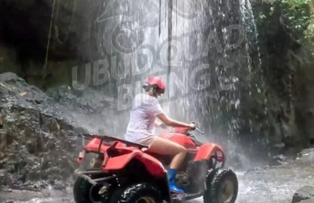 Hidden Jungle Hotspots - ATV Trails for Nature and Wildlife Enthusiasts