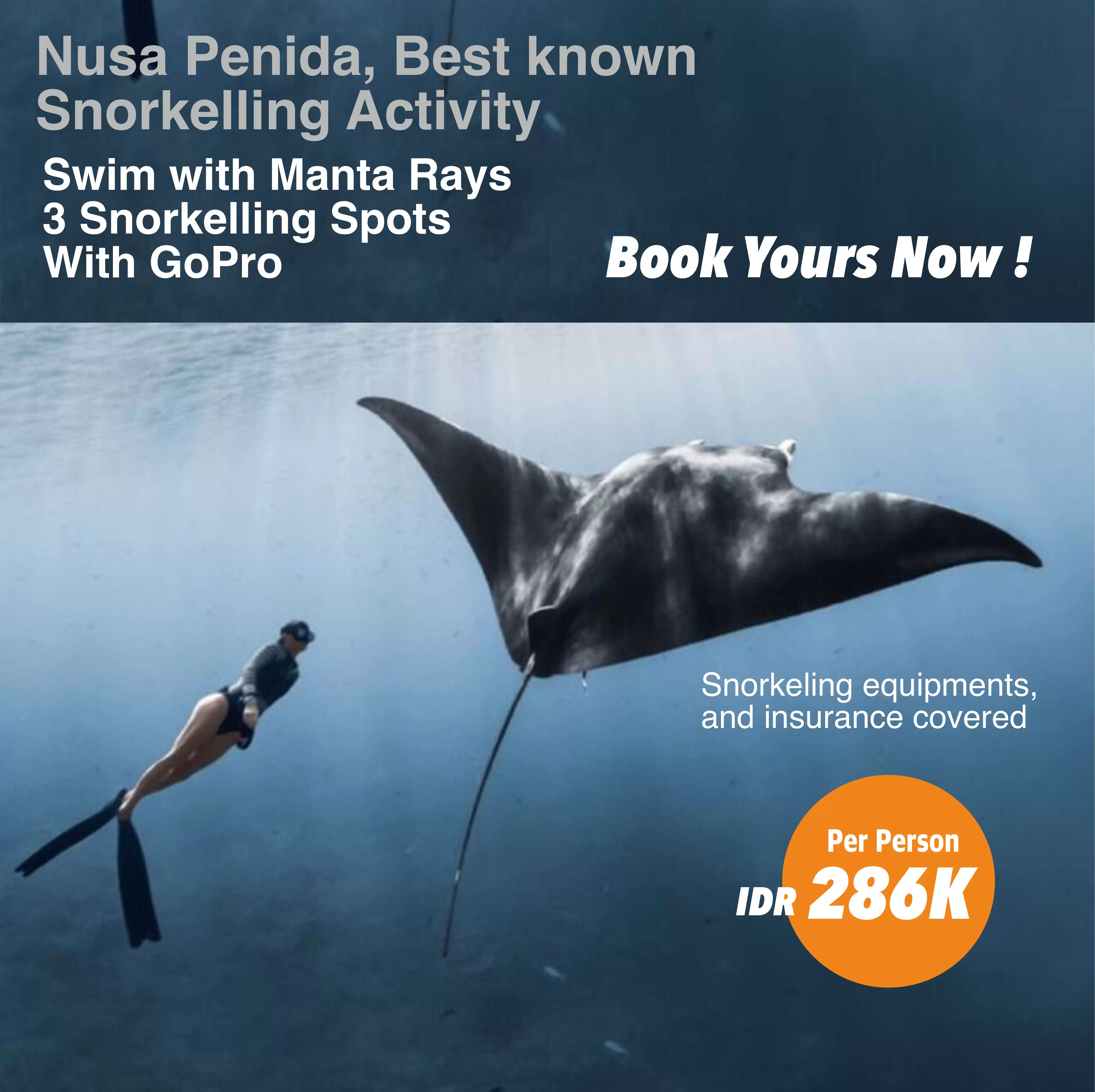 Nusa Penida Snorkeling - Swim with Manta Rays