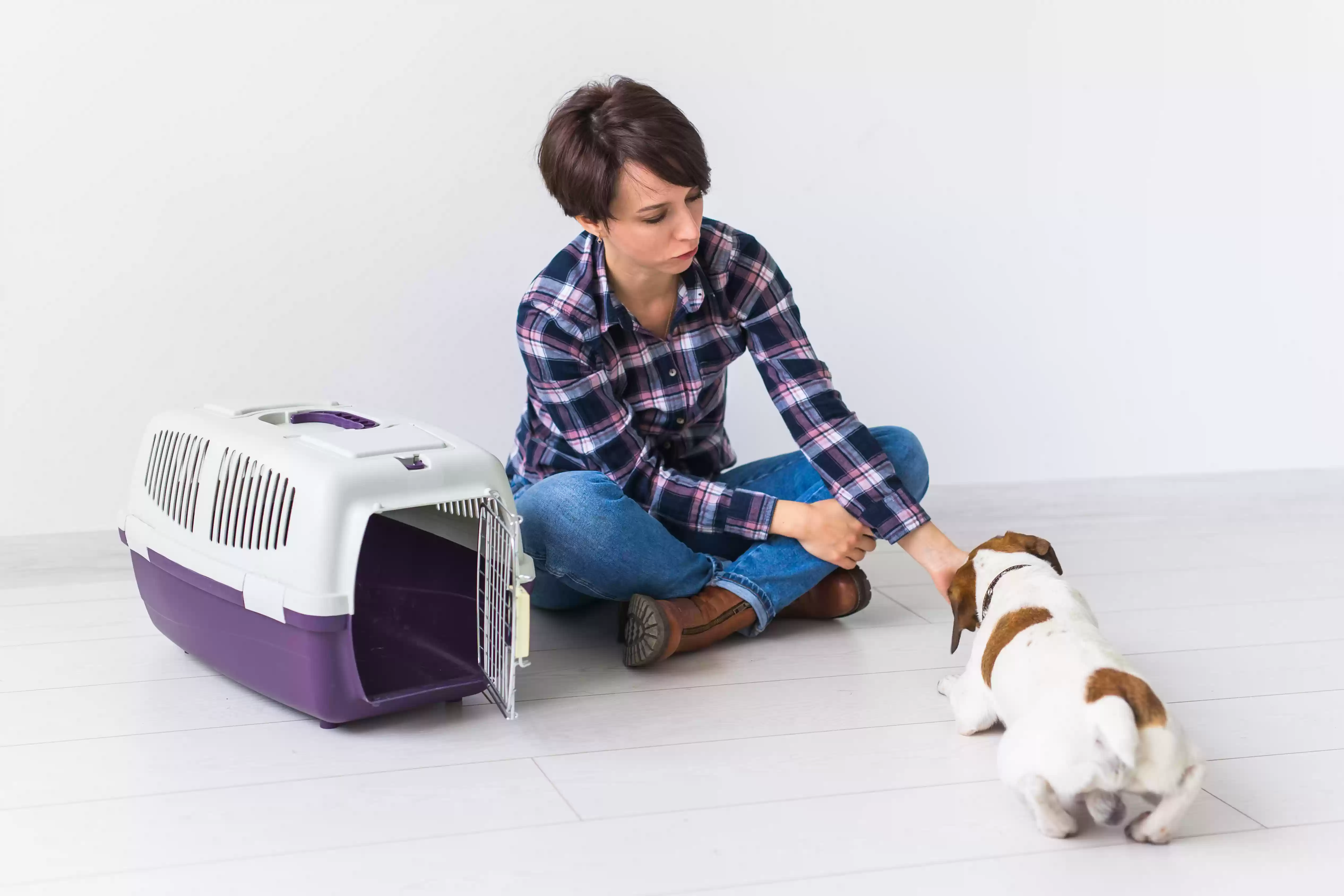 Pet Export from Indonesia to France