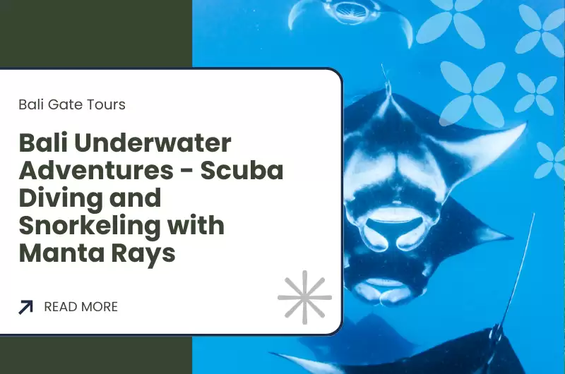 Bali Underwater Adventures - Scuba Diving and Snorkeling with Manta Rays