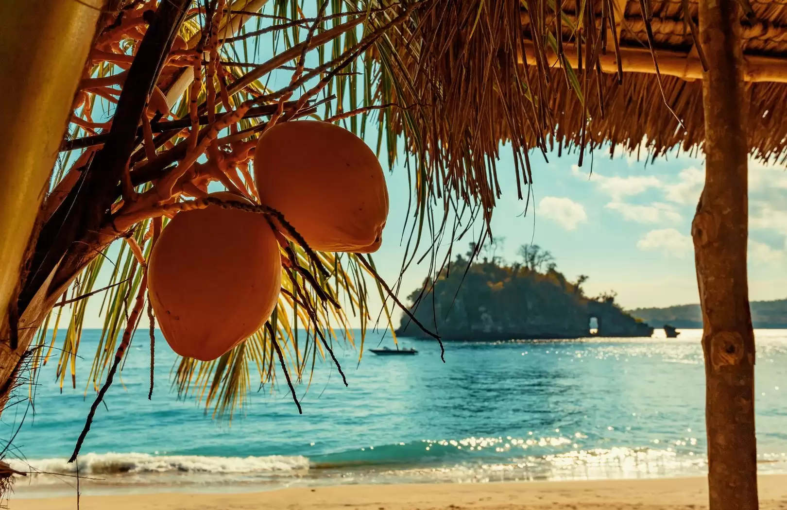 Nusa Penida 2H 1M