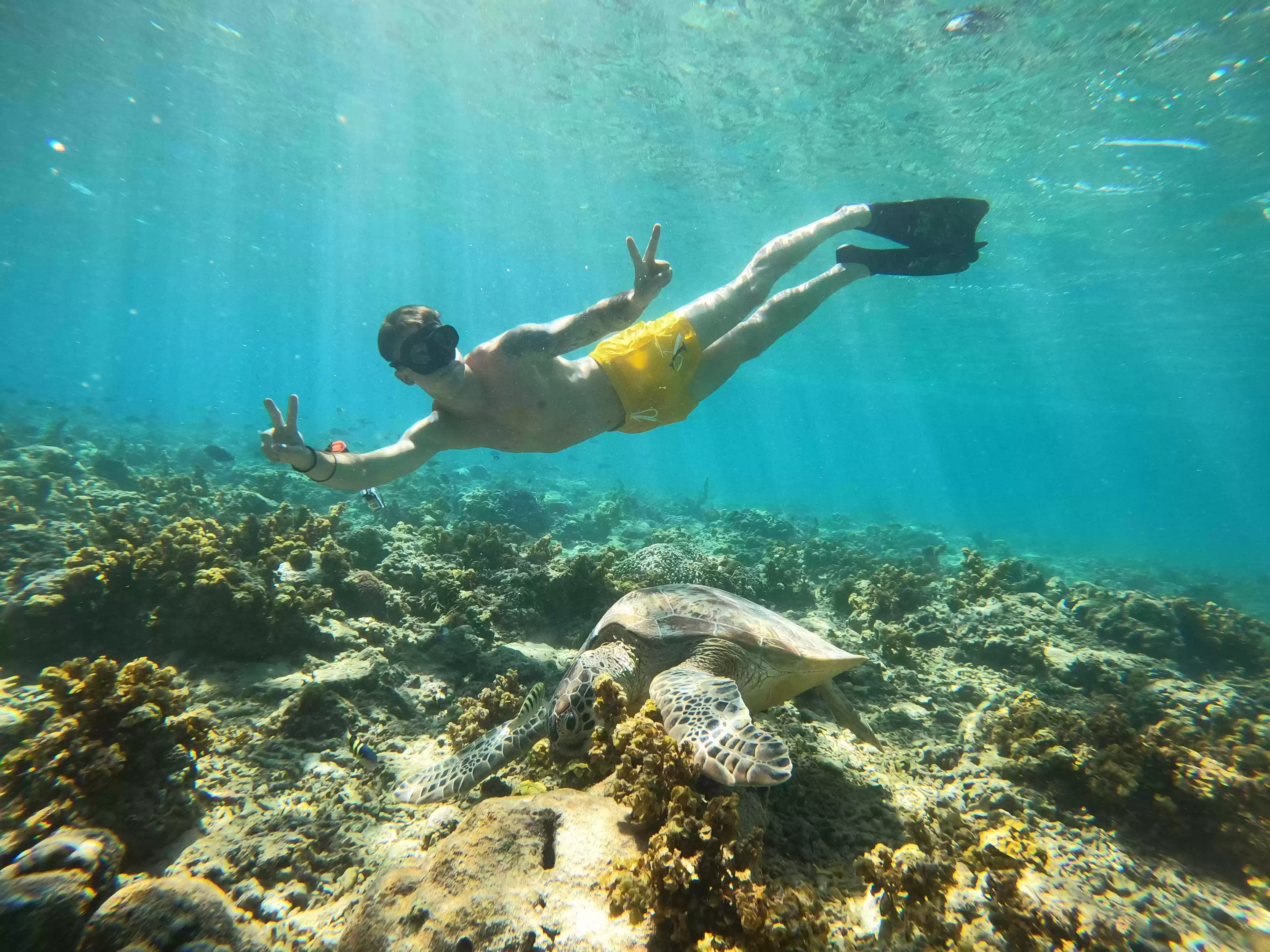 Snorkeling From Lombok