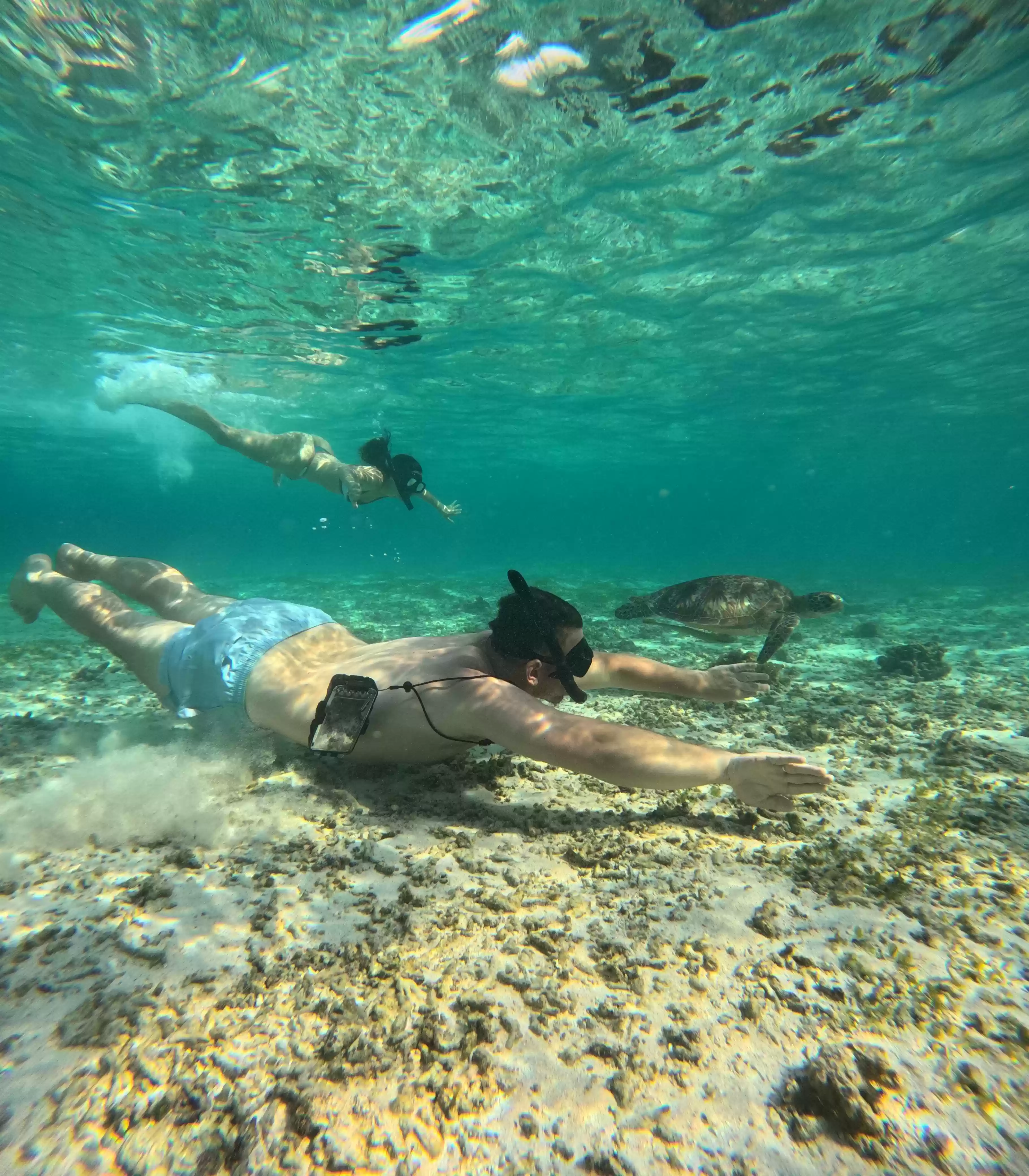 6 Hours Snorkeling Trip Gili Island 
