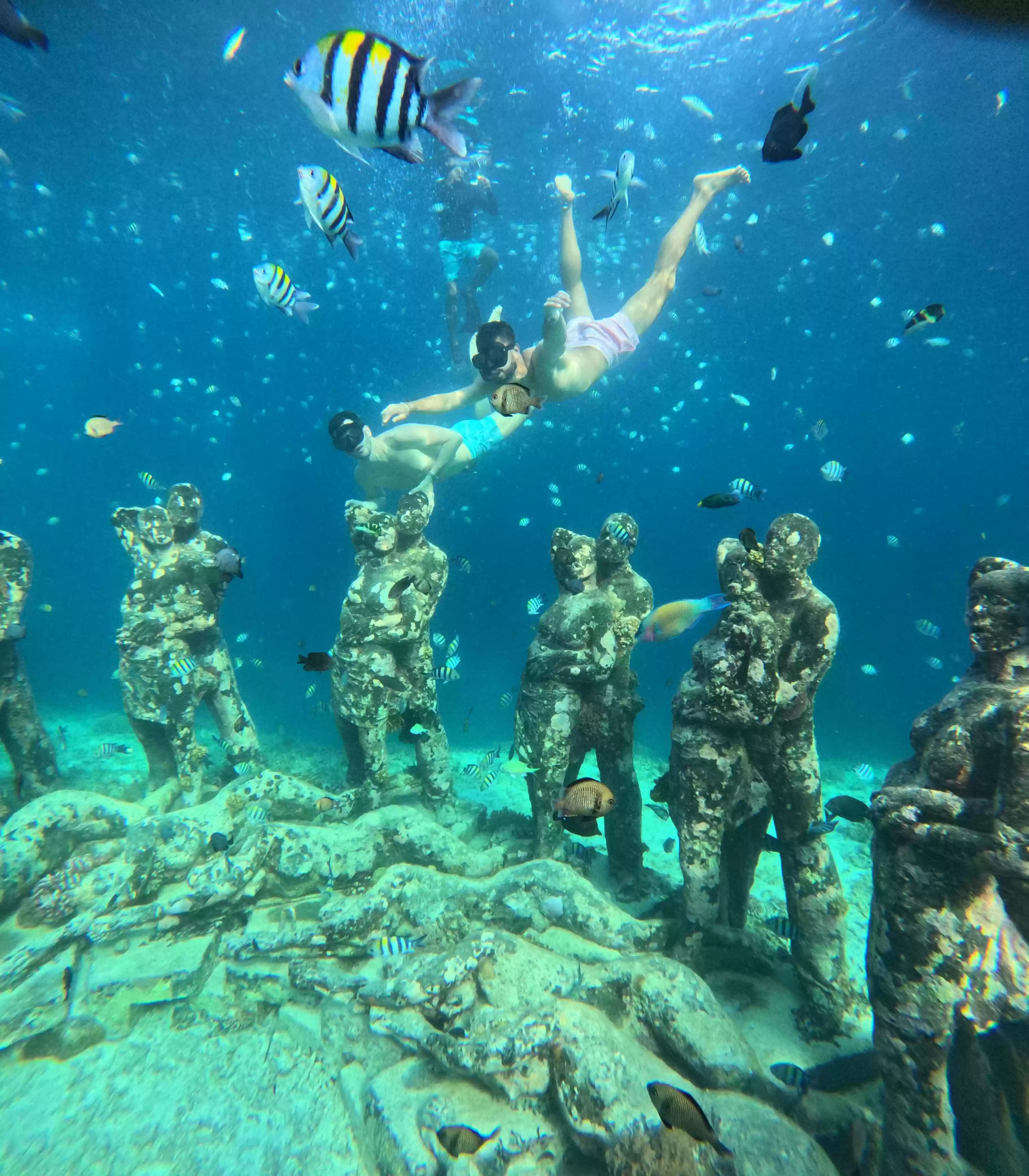 6 Hours Snorkeling Trip Gili Island 