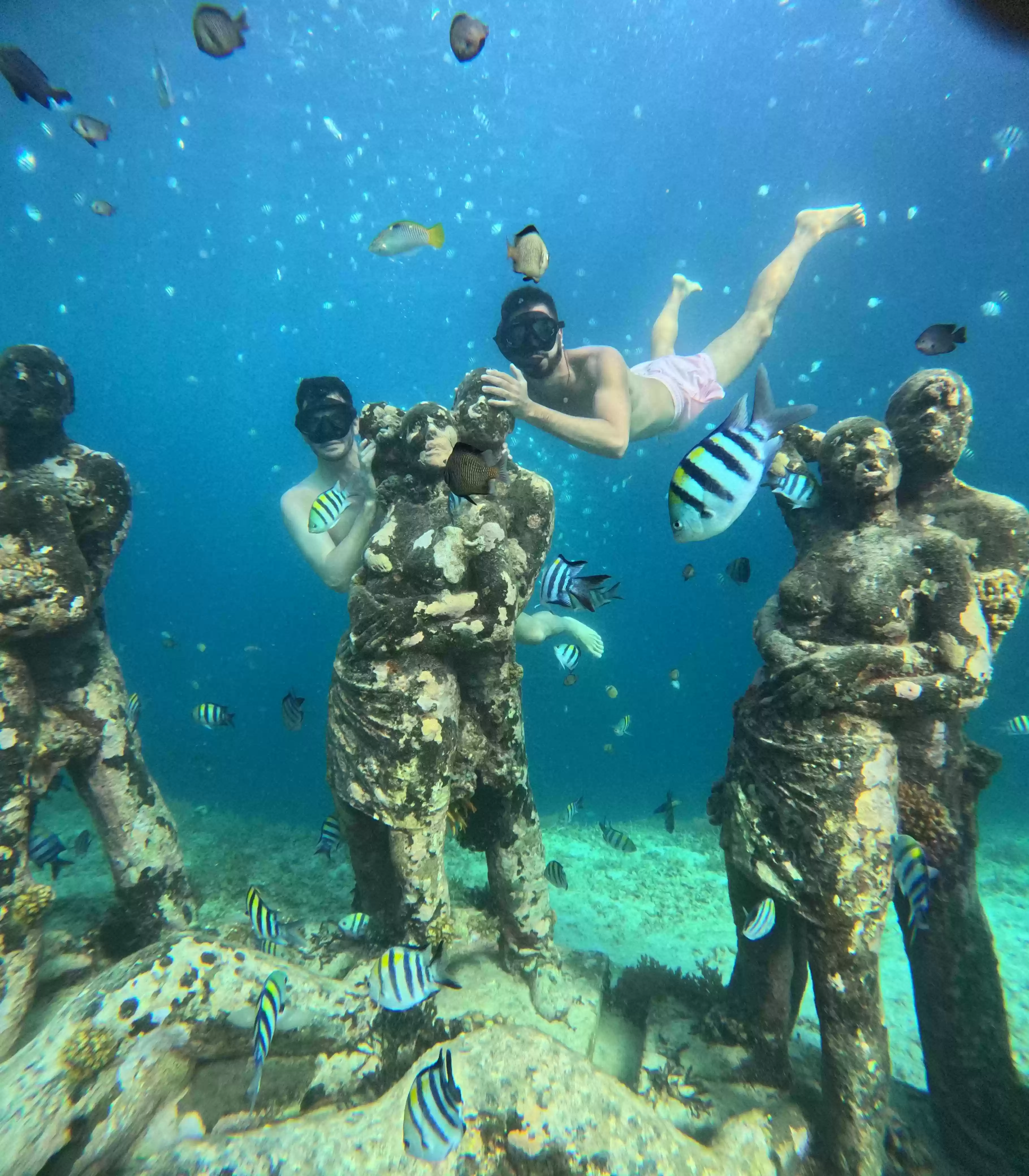 4 Hours Snorkeling Trip Gili Island 