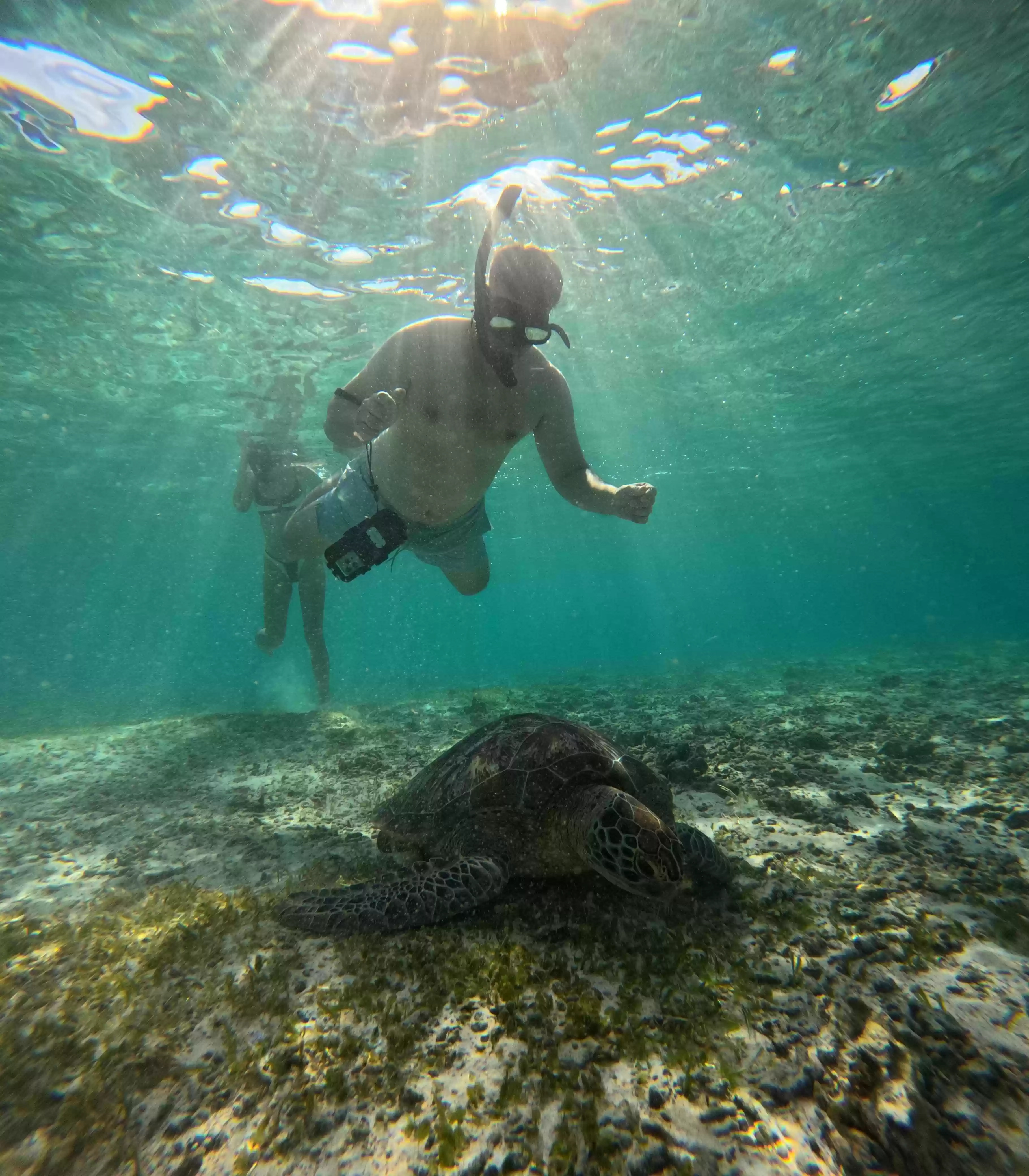 Full Day Trip Gili Trawangan From Bali 
