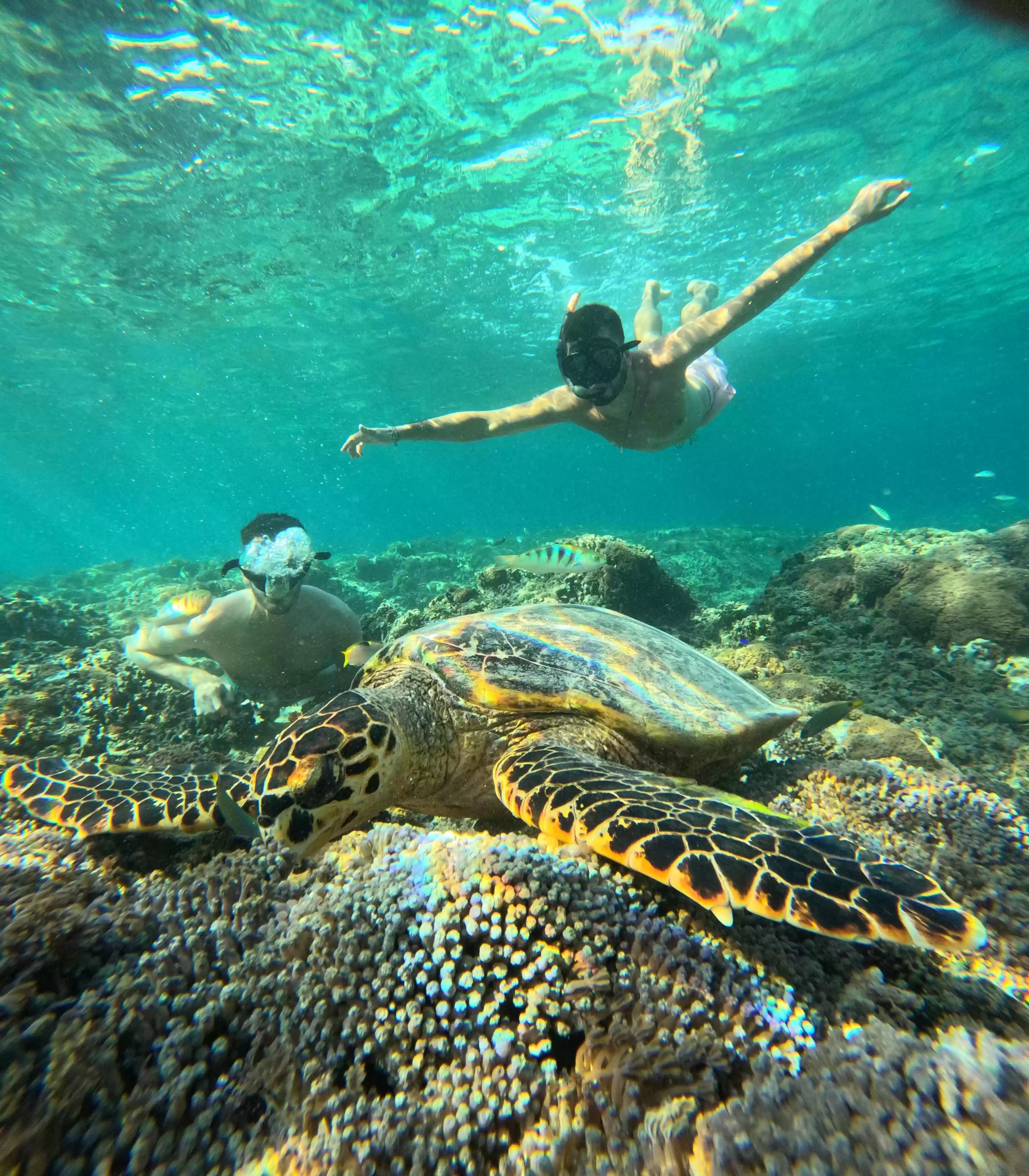 Full Day Trip Gili Trawangan From Bali 