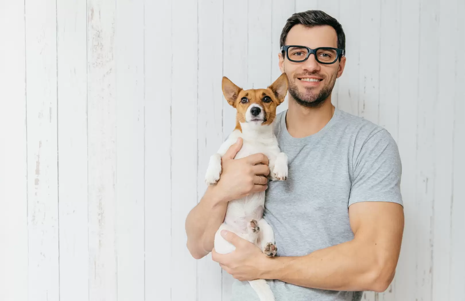 Hand Carry, Excess Baggage, or Cargo? Choosing the Best Travel Option for Your Pet