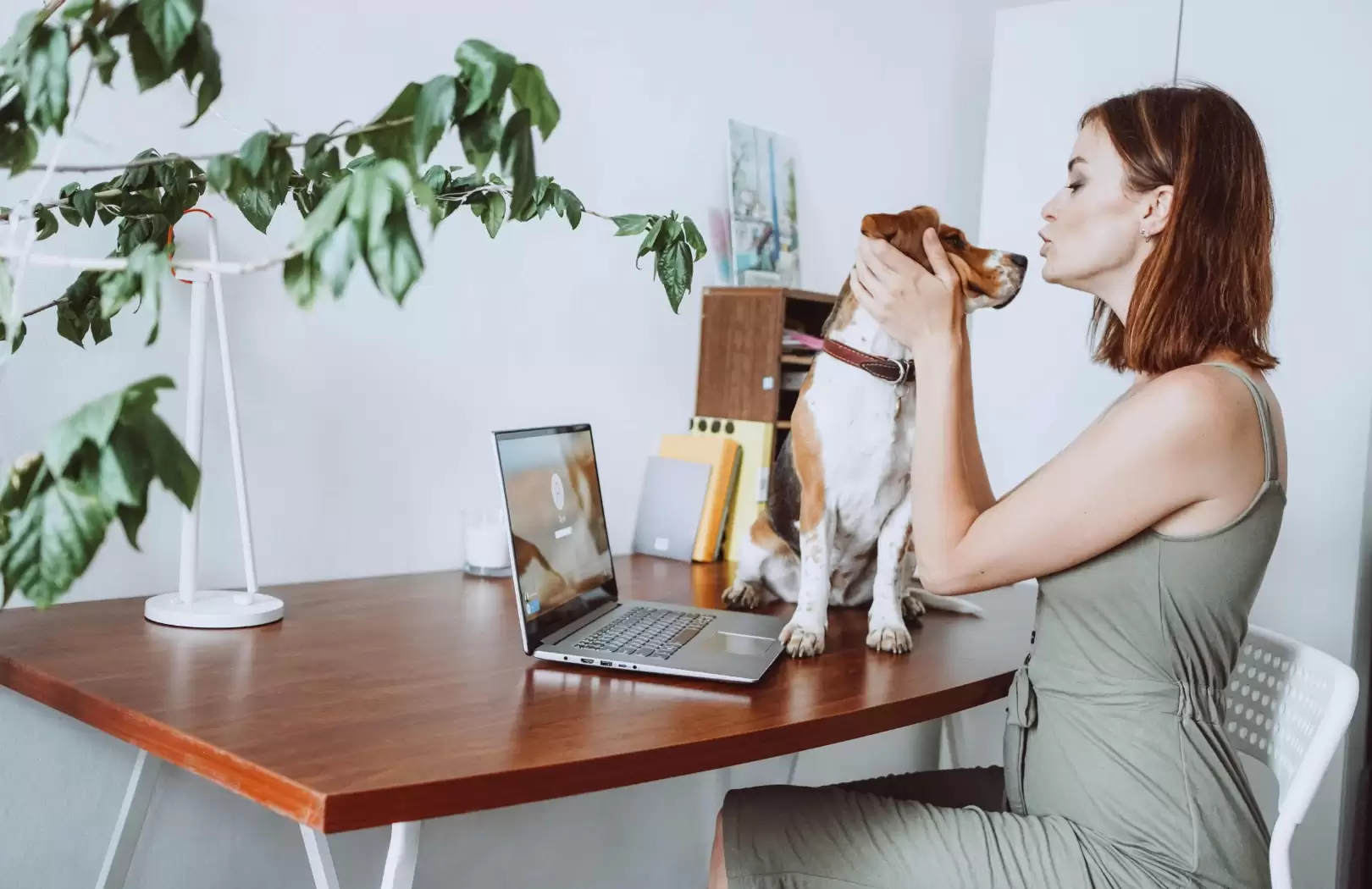 International Pet Relocation: Exporting Your Dog from Indonesia