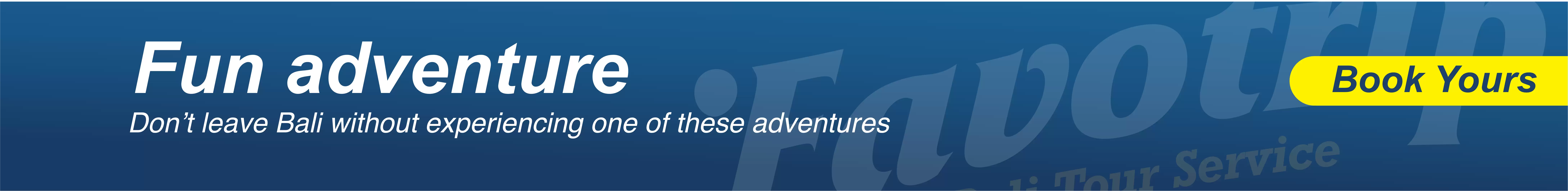 Fun Adventure 