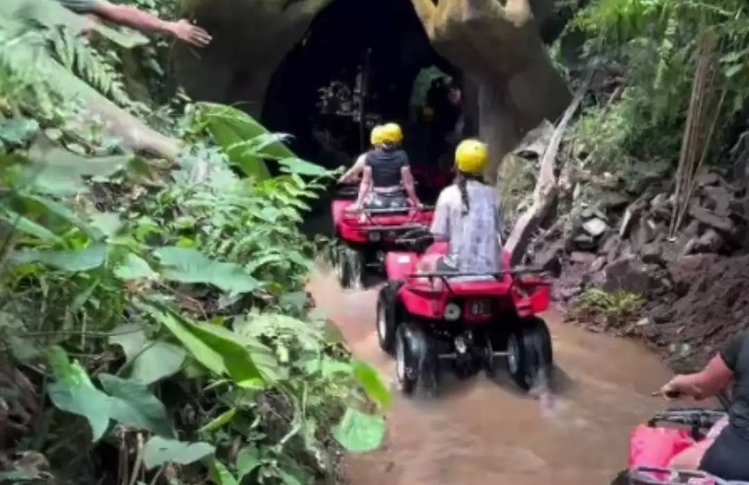 ATV and Farm to Table Experience - Explore Ubud Rice Fields and Local Cuisine
