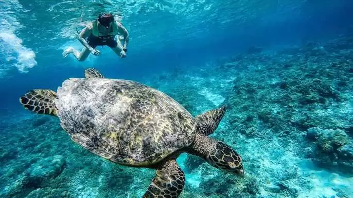 Private Snorkeling and Sunset Trip