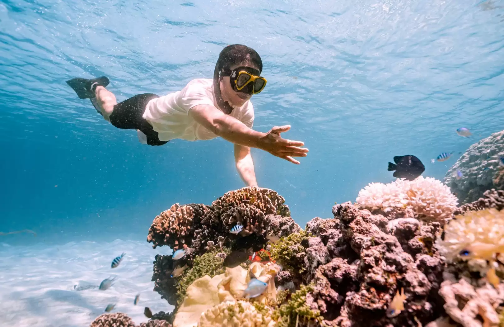 Shared Snorkeling and Sunset Trip – Gili Islands