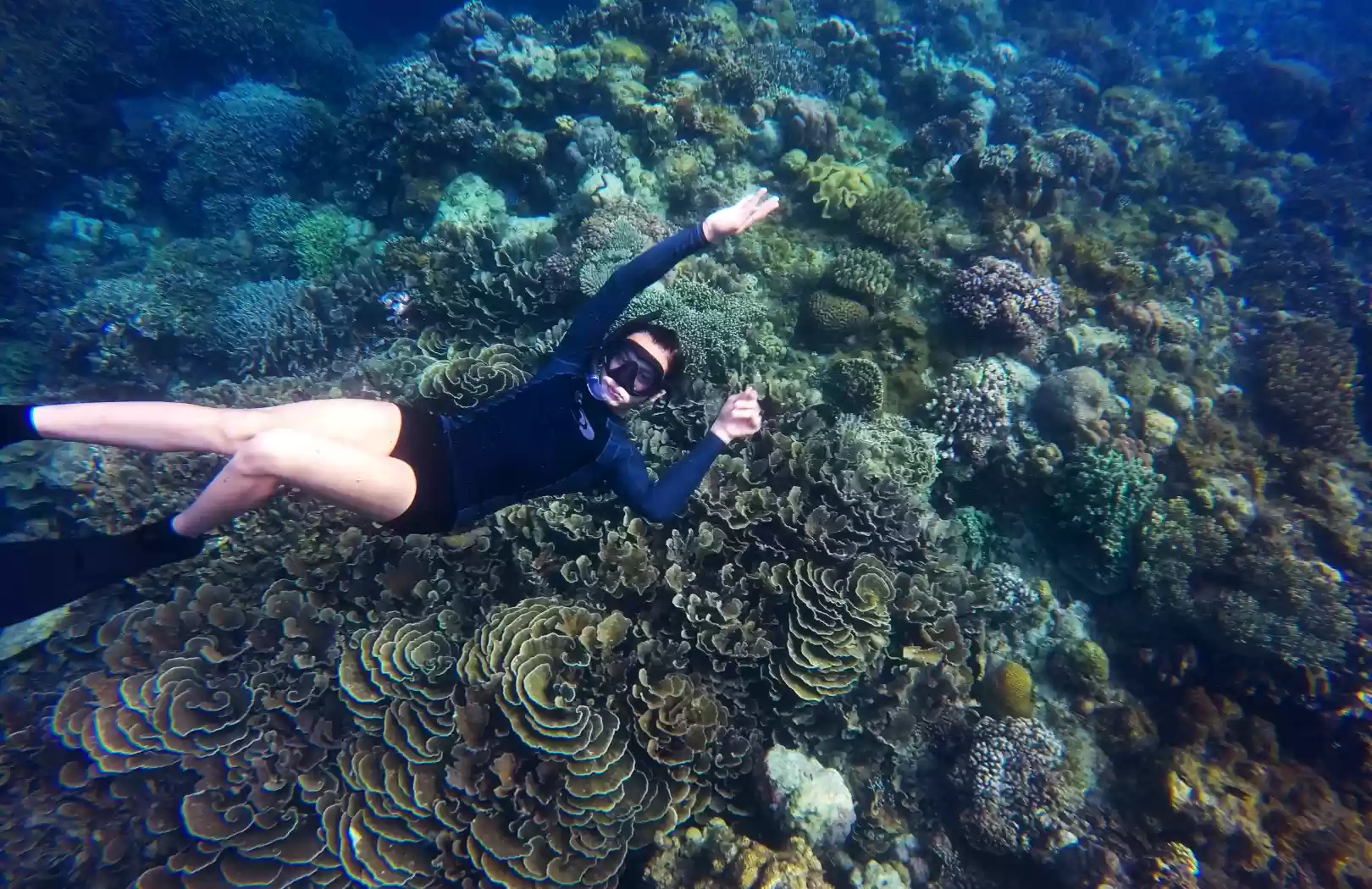 Shared Snorkeling – 4 Hours Group Trip