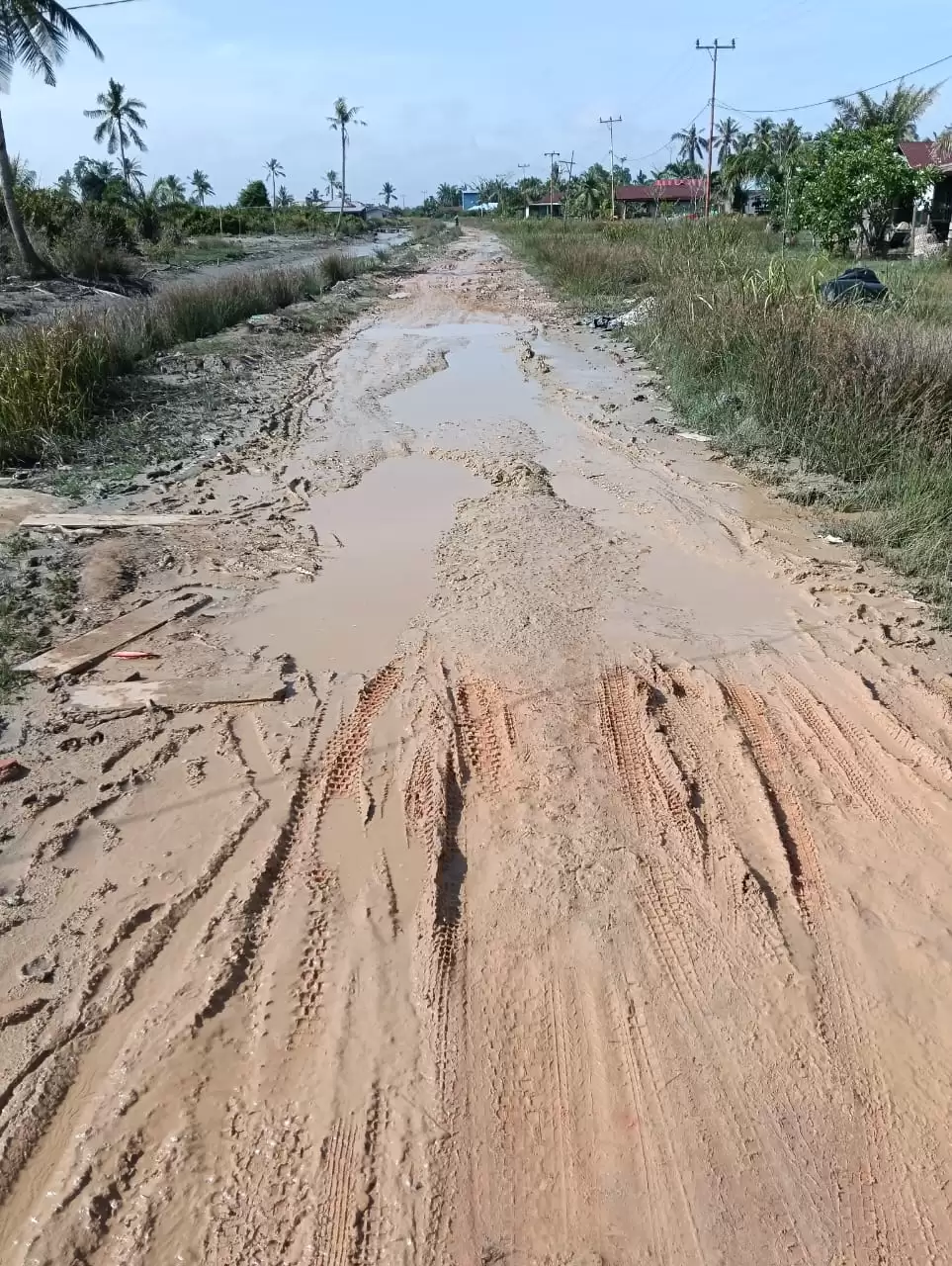 Jalan Rusak Kian Parah, Warga Sungai Bakau Minta Perhatian Pemkab Rohil