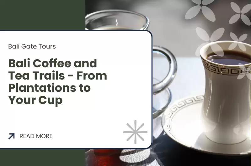Bali Coffee and Tea Trails - From Plantations to Your Cup