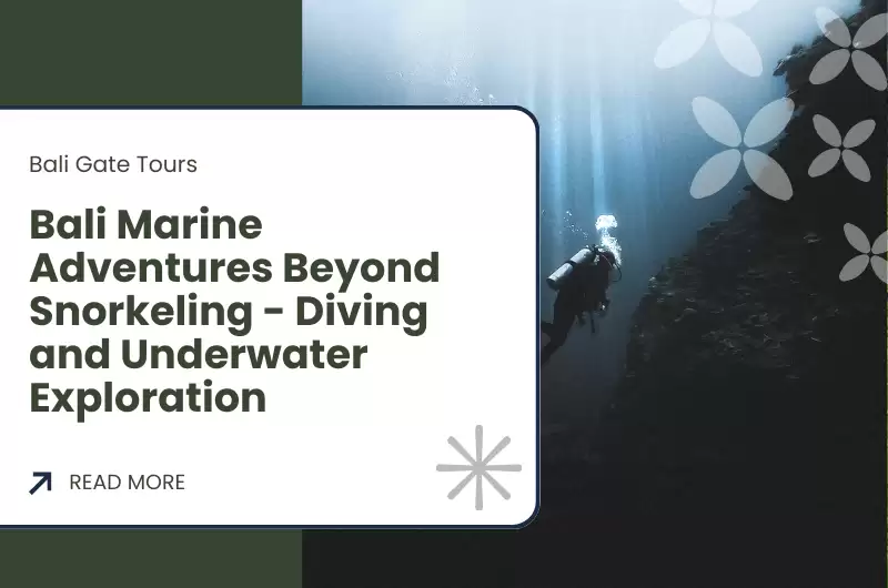 Bali Marine Adventures Beyond Snorkeling - Diving and Underwater Exploration
