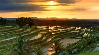 Jatiluwih Rice Terrace: A Breathtaking UNESCO World Heritage in Bali