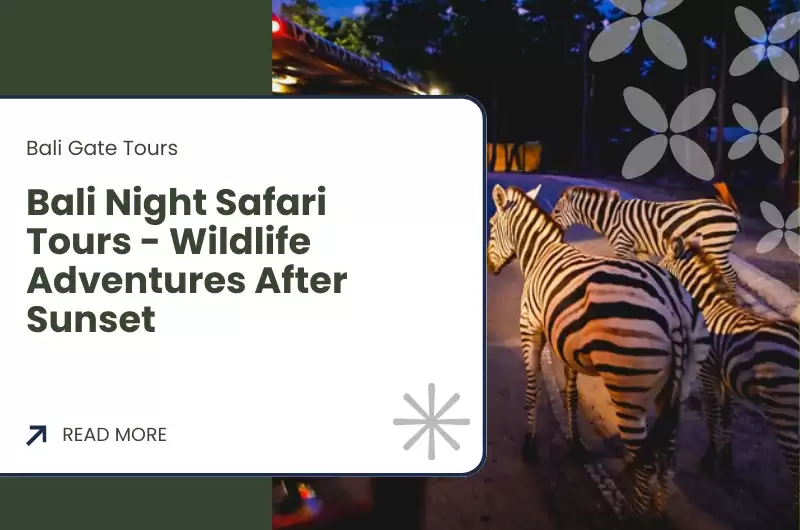 Bali Night Safari Tours - Wildlife Adventures After Sunset