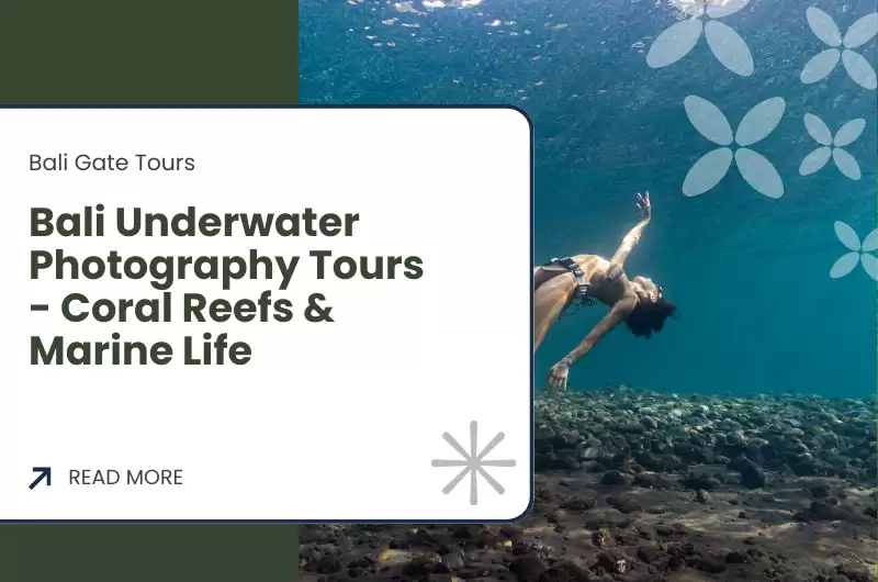 Bali Underwater Photography Tours - Coral Reefs & Marine Life