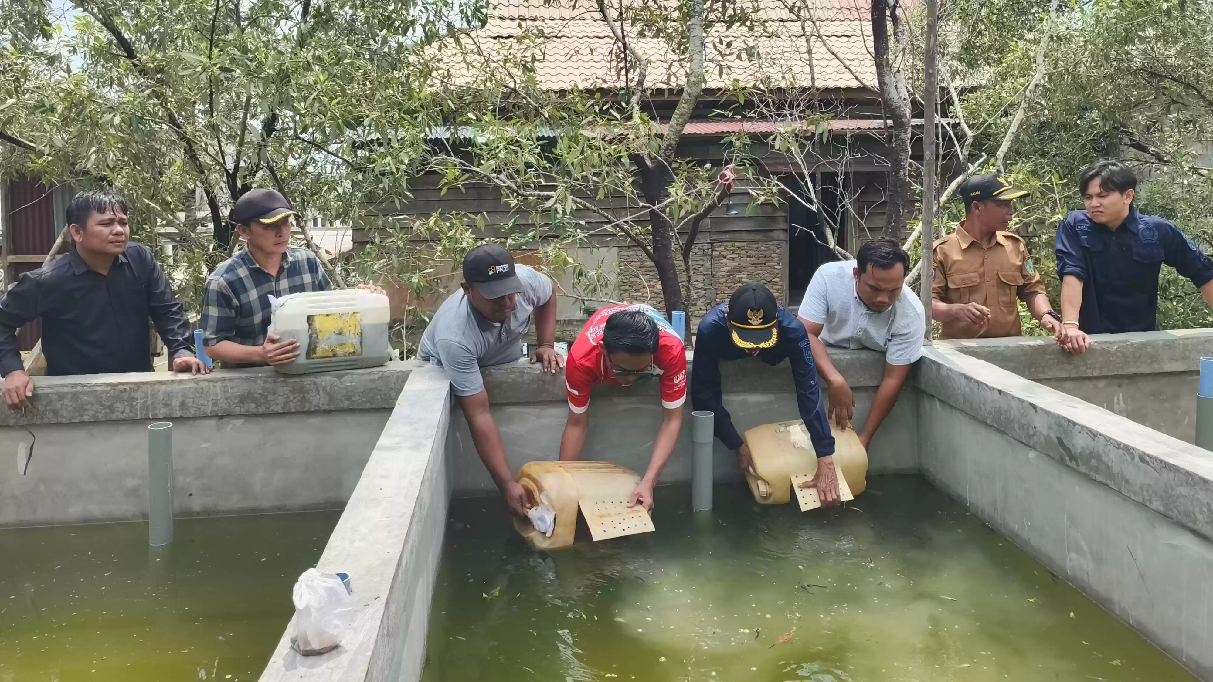 Lewat Program Ketahanan Pangan, Bumdes Panipahan Tabur 15.000 Bibit Ikan Lele