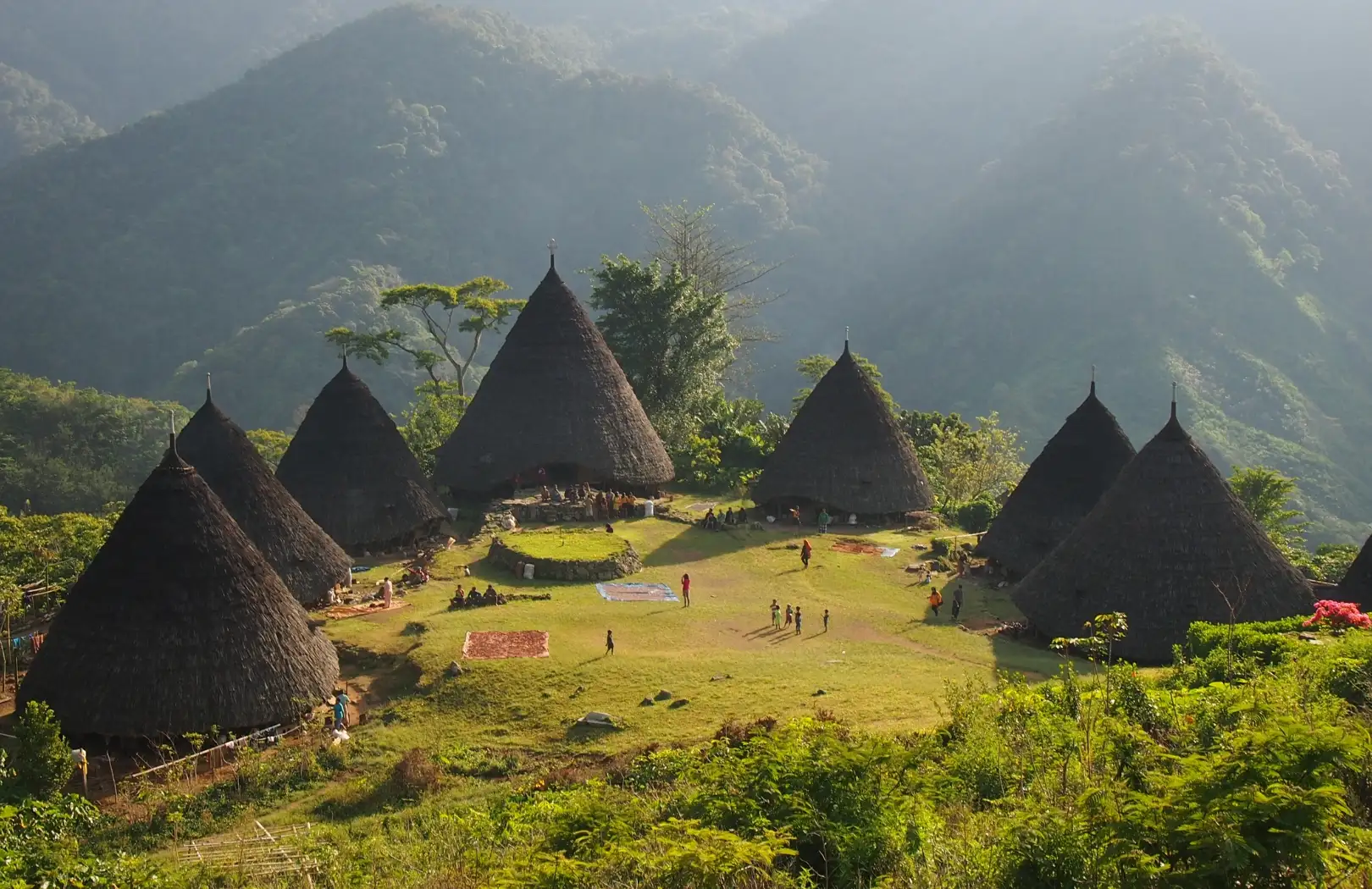 Flores – Dragons and Beyond