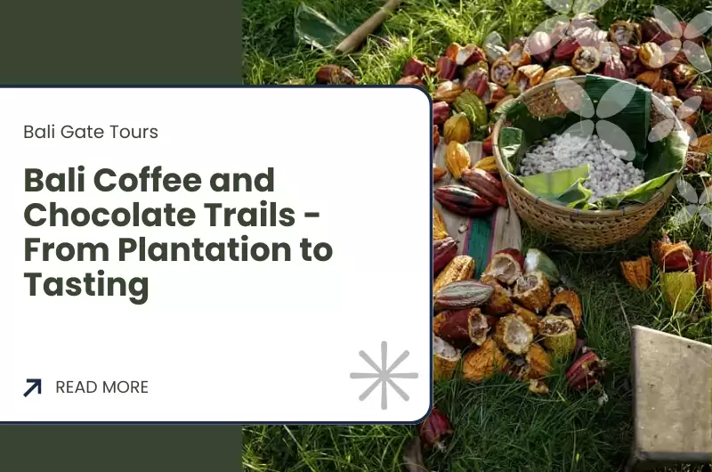 Bali Coffee and Chocolate Trails - From Plantation to Tasting
