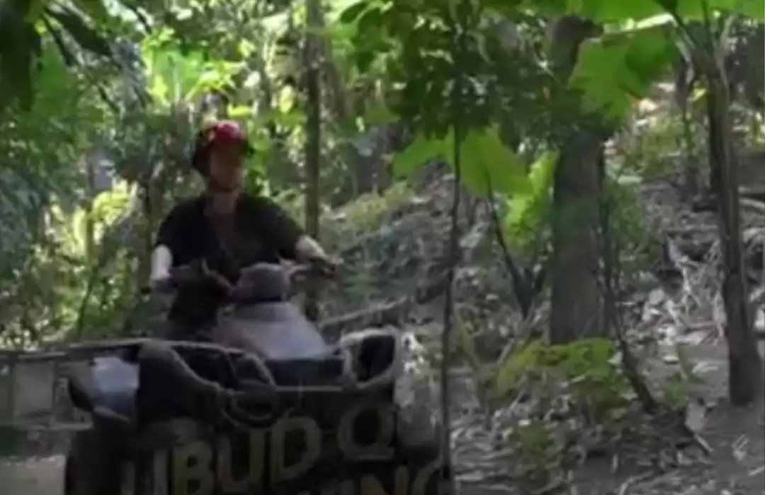 ATV and Rice Harvest Experience - Participate in Traditional Farming