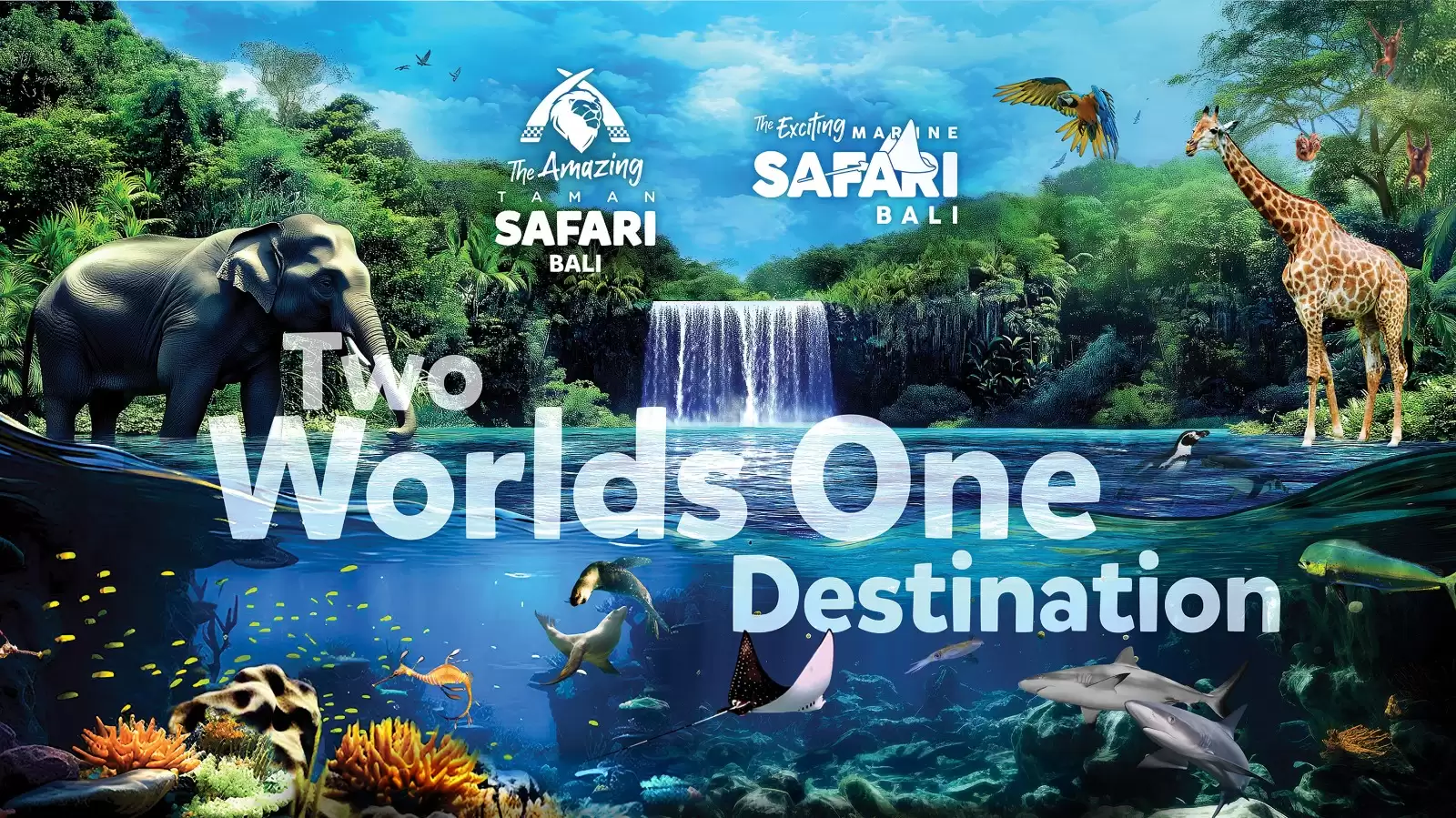 Bali Safari and Marine Park