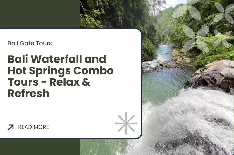 Bali Waterfall and Hot Springs Combo Tours - Relax & Refresh