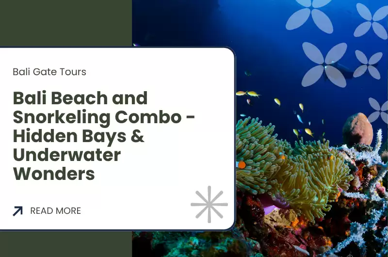 Bali Beach and Snorkeling Combo - Hidden Bays & Underwater Wonders