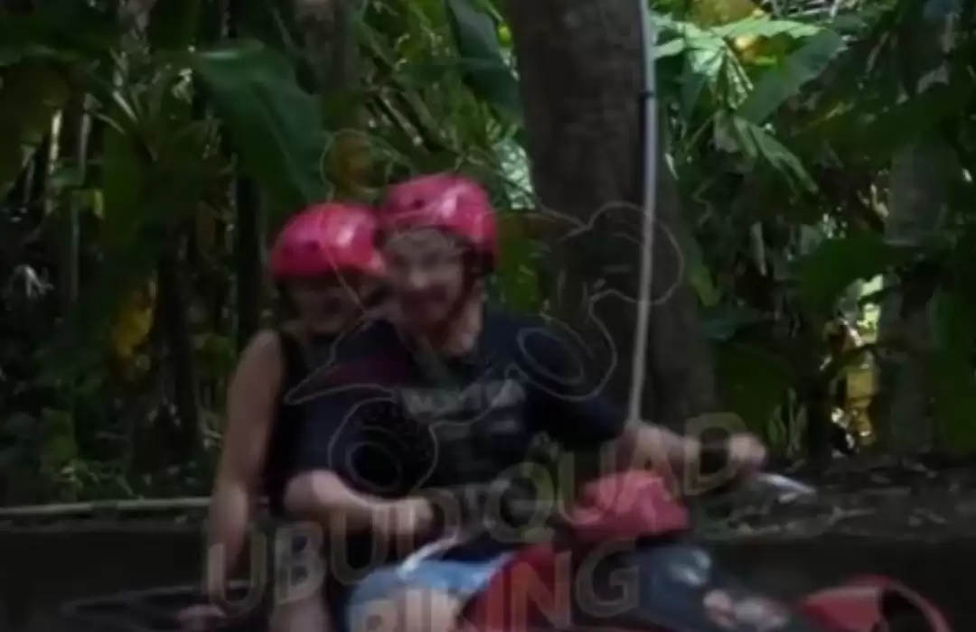 ATV and Birdwatching Tour - Spot Bali Exotic Birds in Ubud