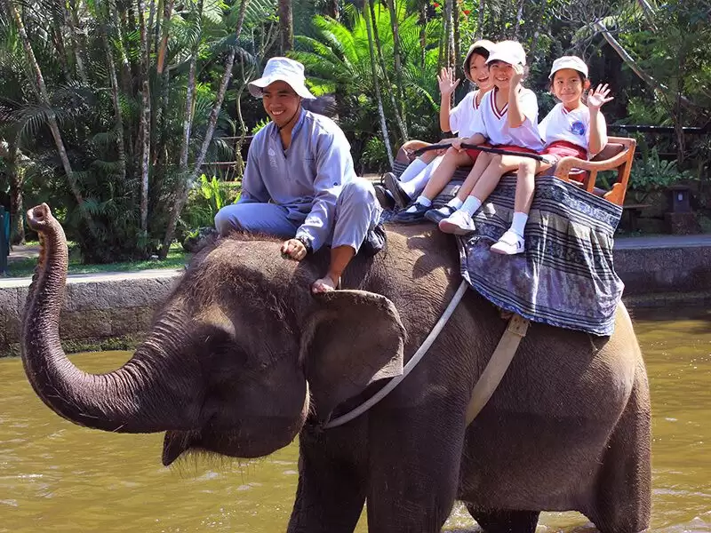 Elephant Ride Adventure in Bali: A Unique Way to Explore the Island