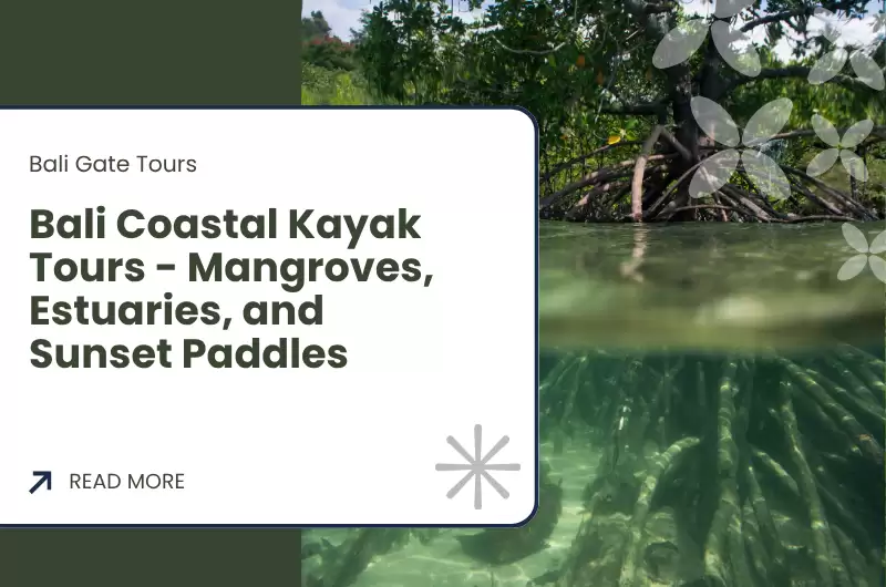 Bali Coastal Kayak Tours - Mangroves, Estuaries, and Sunset Paddles