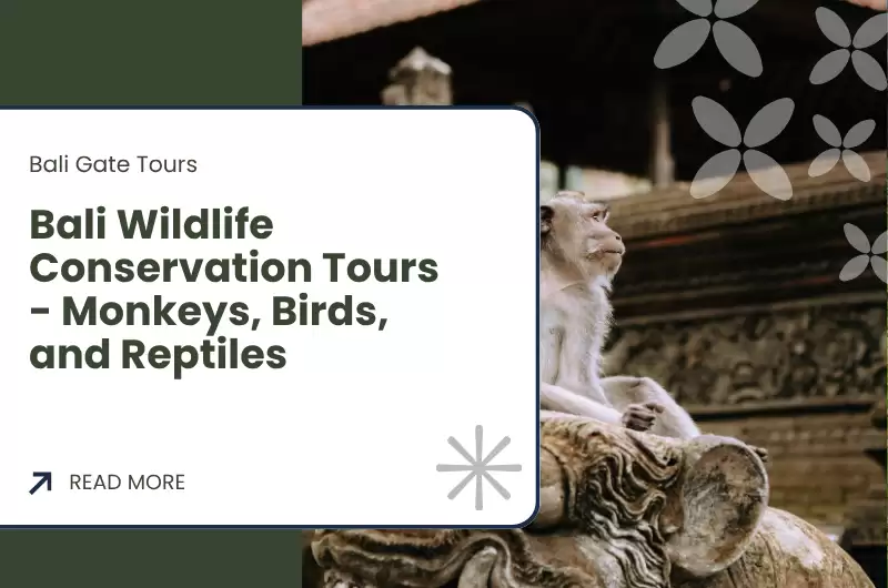 Bali Wildlife Conservation Tours - Monkeys, Birds, and Reptiles