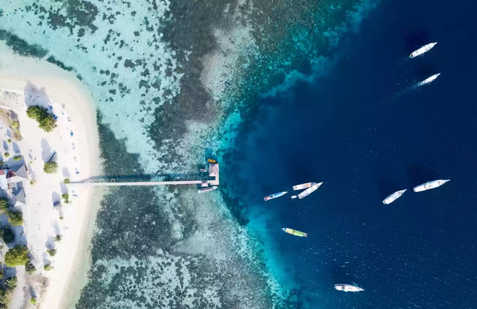 Top Destinations in Komodo National Park You Can’t Miss