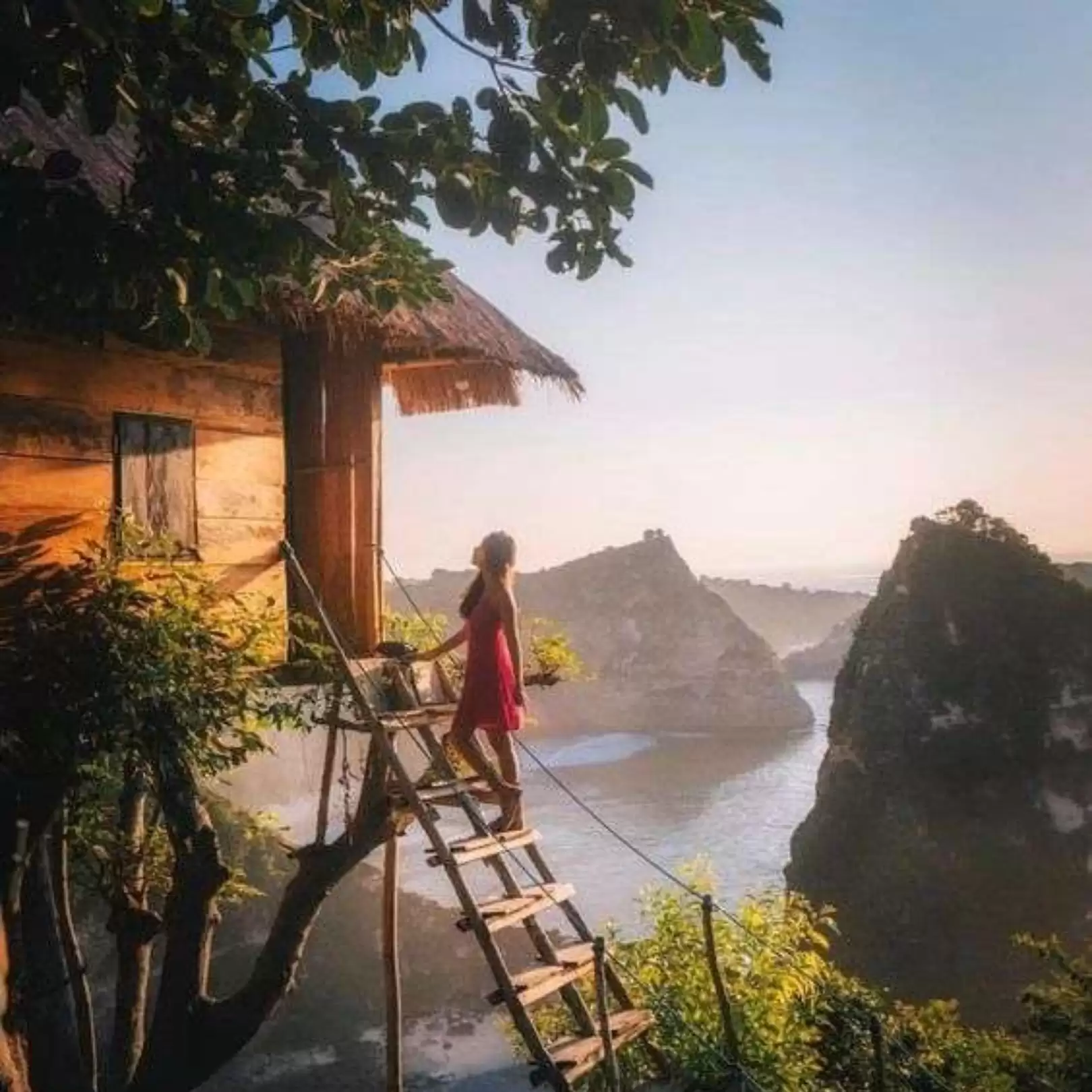 Tree House Molenteng