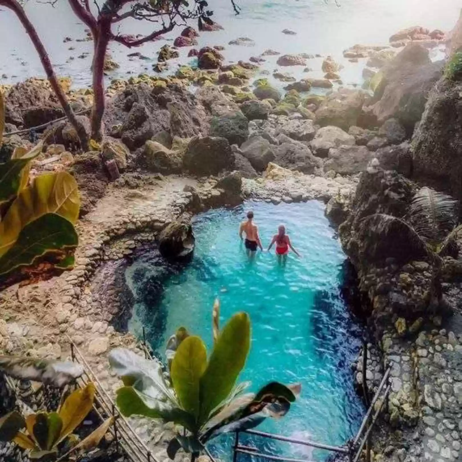 Tamelling Beach & Forest