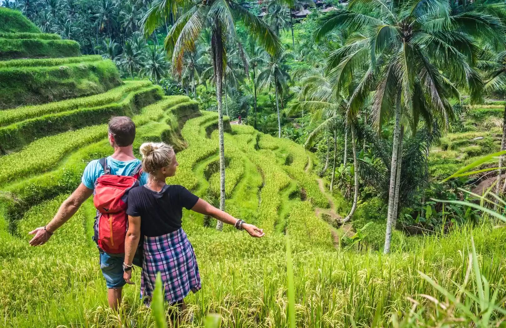 Customizable Bali Tour