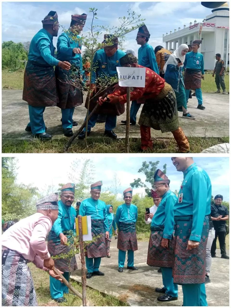 Rohil Wajibkan ASN dan Honorer Tanam 15 Pohon per Tahun