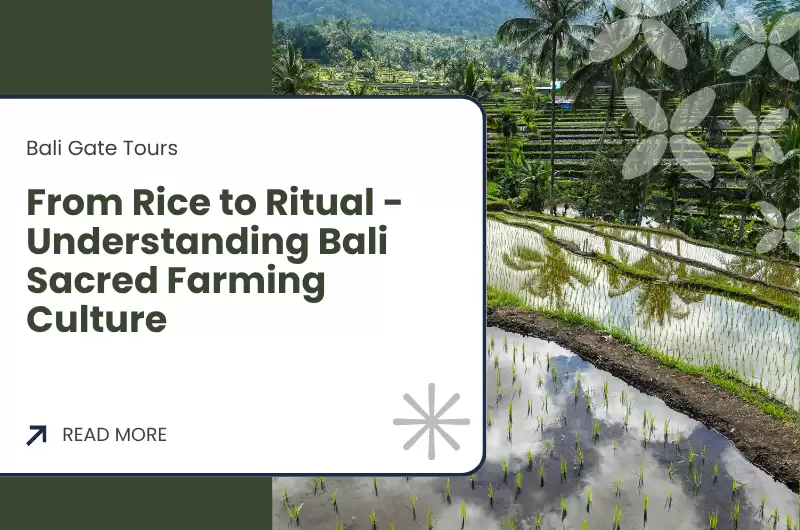 From Rice to Ritual - Understanding Bali Sacred Farming Culture