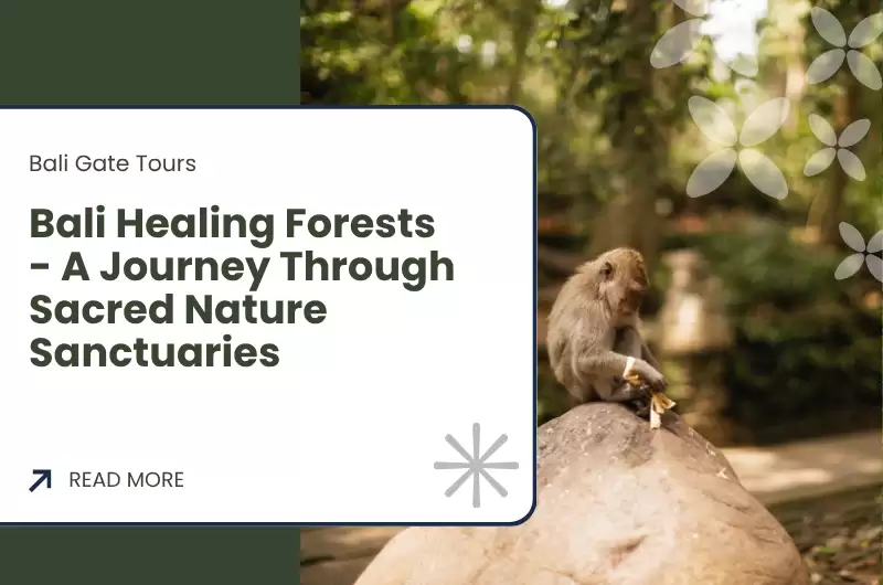 Bali Healing Forests - A Journey Through Sacred Nature Sanctuaries