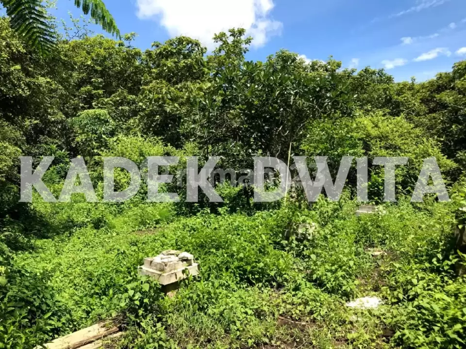 Dijual Tanah Jalan Utama Darmawangsa Kampial, Nusa Dua – Dekat Kampus STP