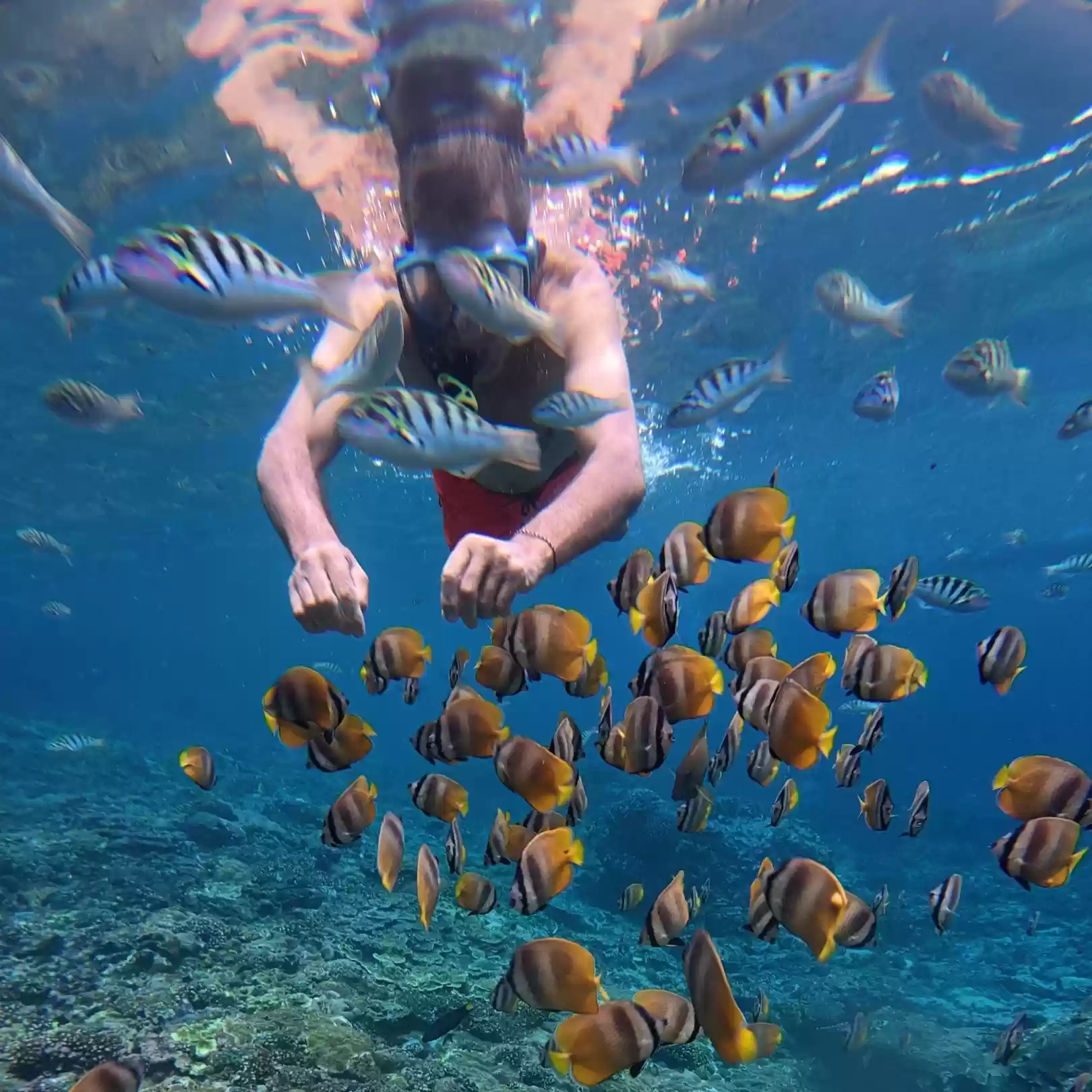 Nusa Penida Snorkeling Adventure