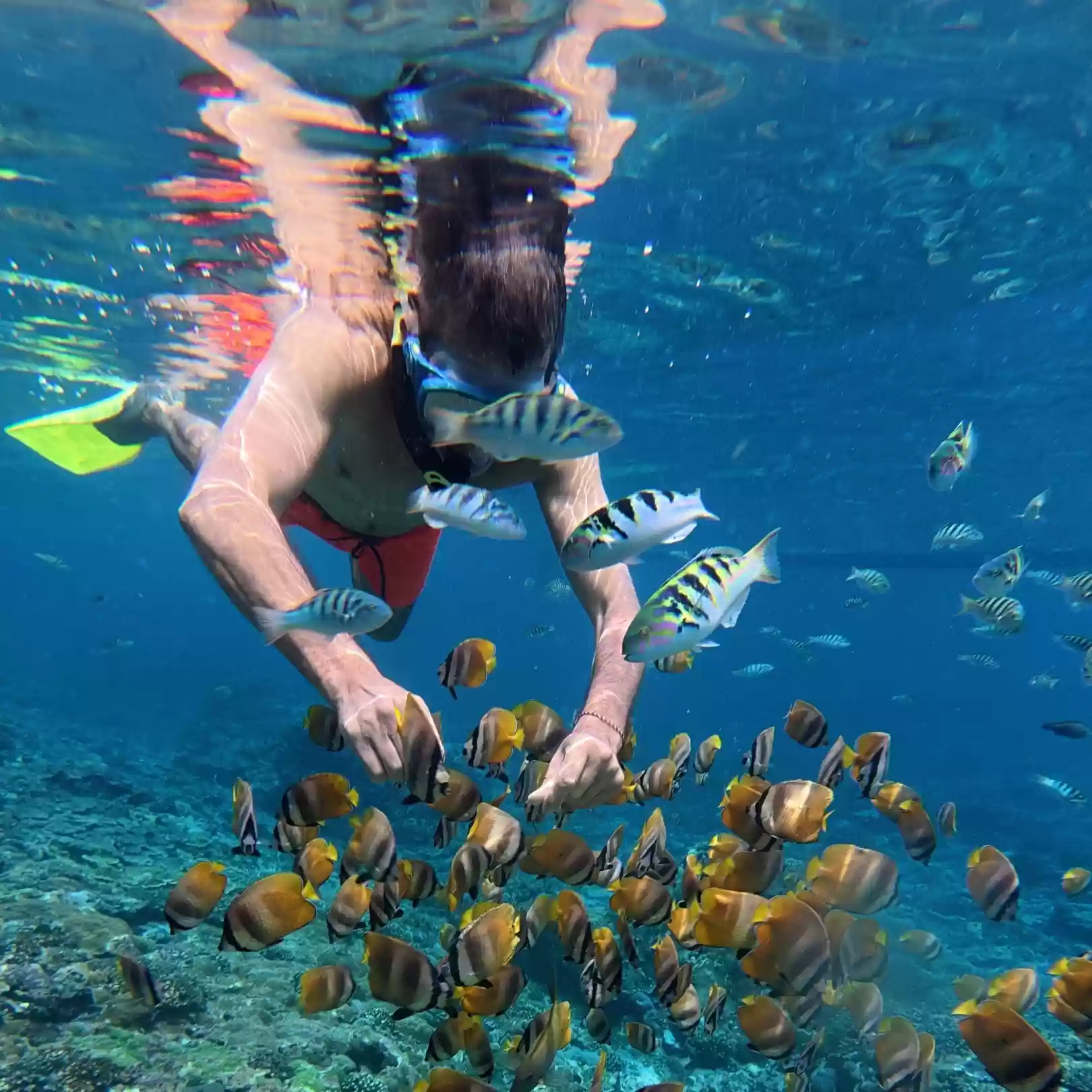 Nusa Penida Snorkeling Adventure