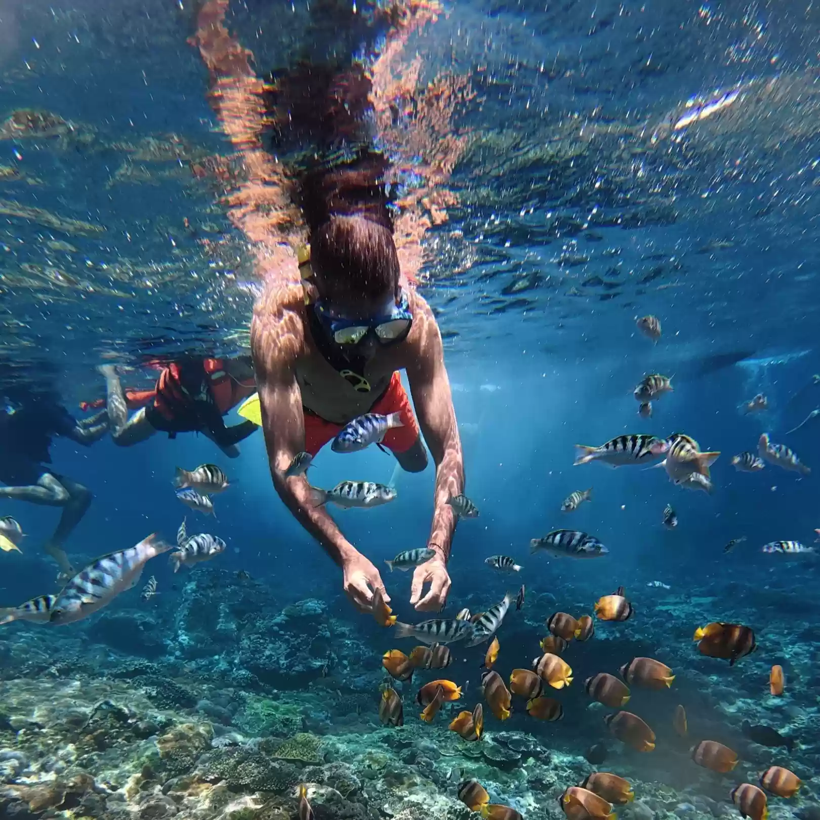 Nusa Penida Snorkeling Adventure
